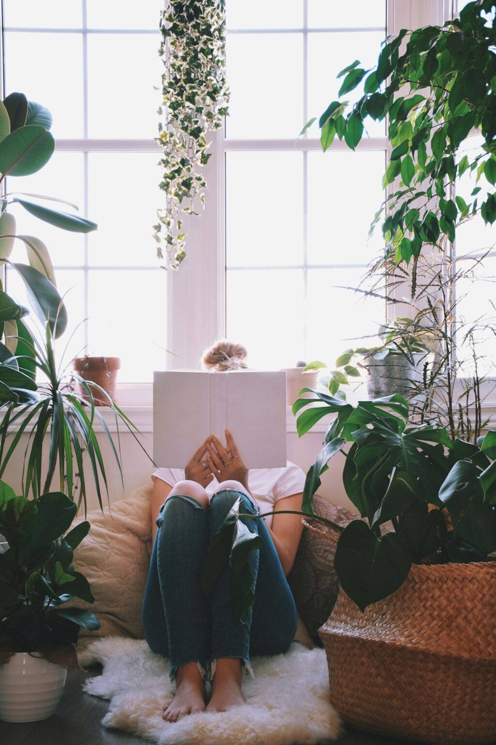 Curated visual reference: Mental Wellness Home Design Reference: Enhancing Mental Health Through Thoughtful Home Design
