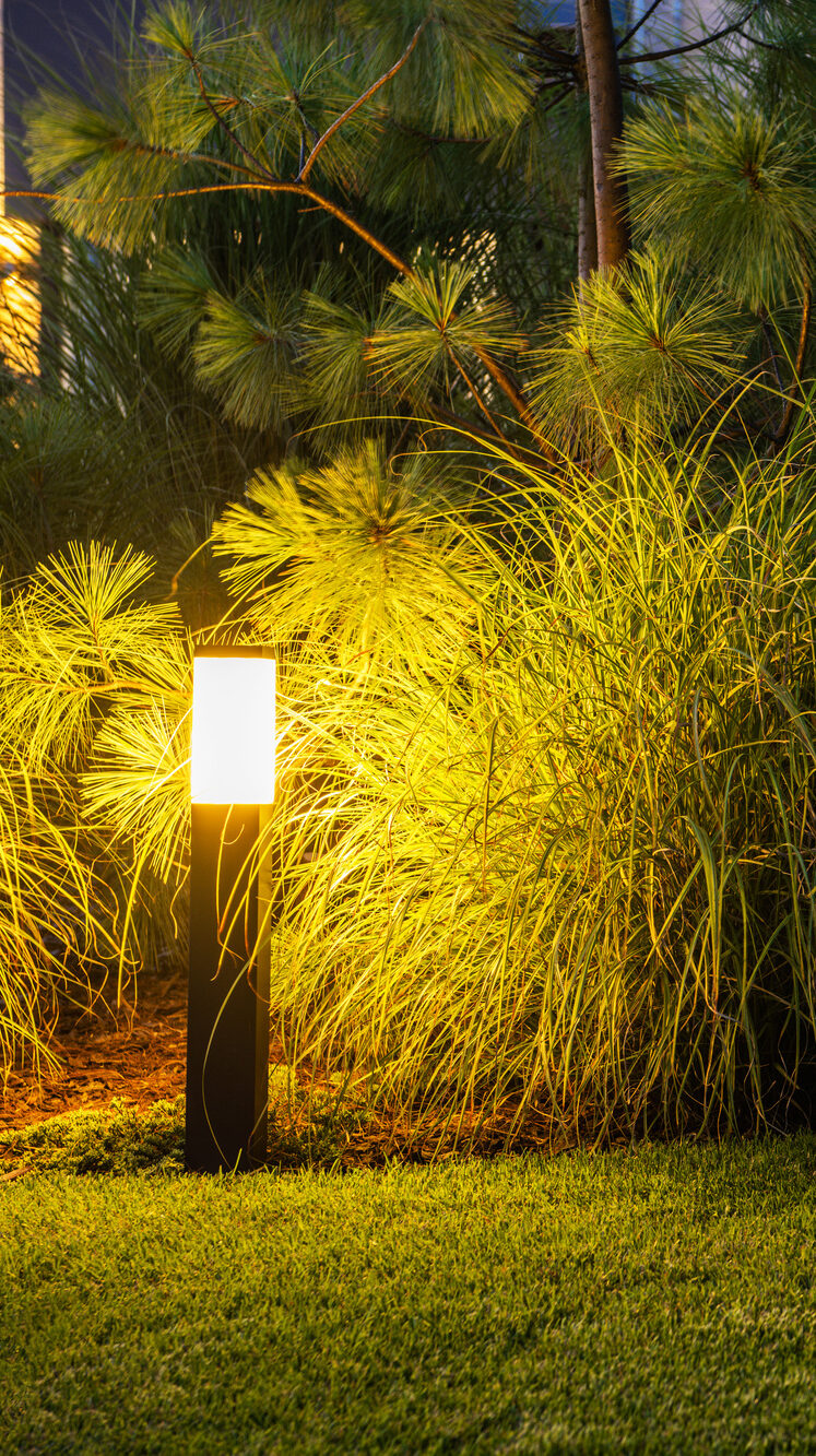 Residential Backyard Garden Lighting System.
